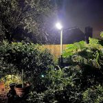 bright-600w